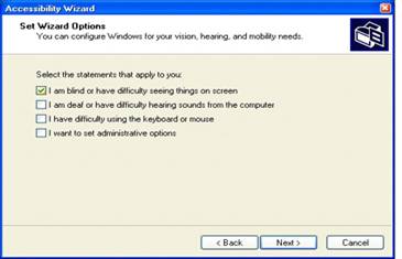 Accessibility Wizard: Set Wizard Options: Vision options